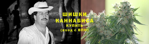 прущие грибы Алзамай