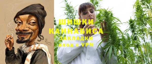 прущие грибы Алзамай