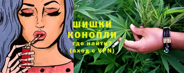 прущие грибы Алзамай