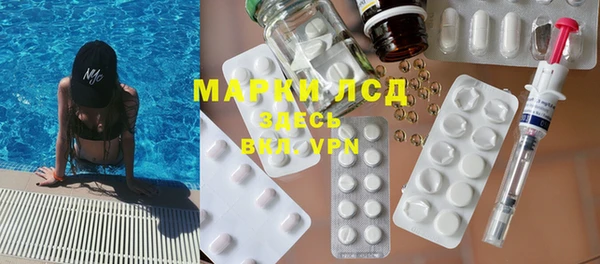 прущие грибы Алзамай