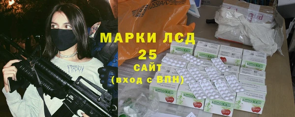 прущие грибы Алзамай